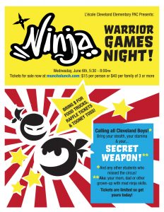 Ninja Warrior Games Night