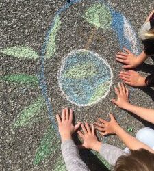 Earth Month 2022 – Thank you!